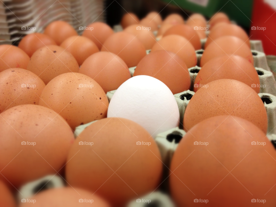 contrast eggs shopping egg by hexoic