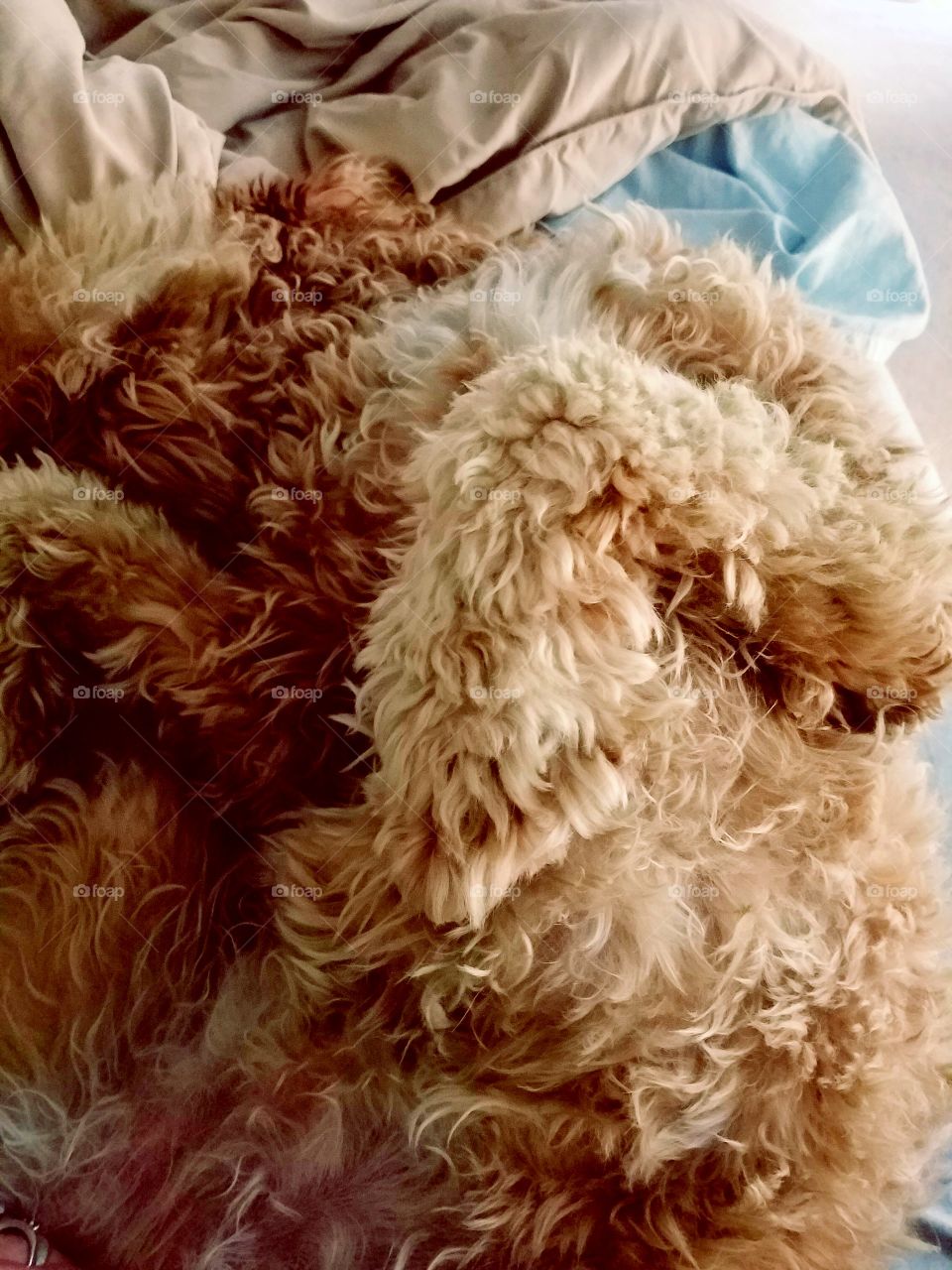 seriously this is re