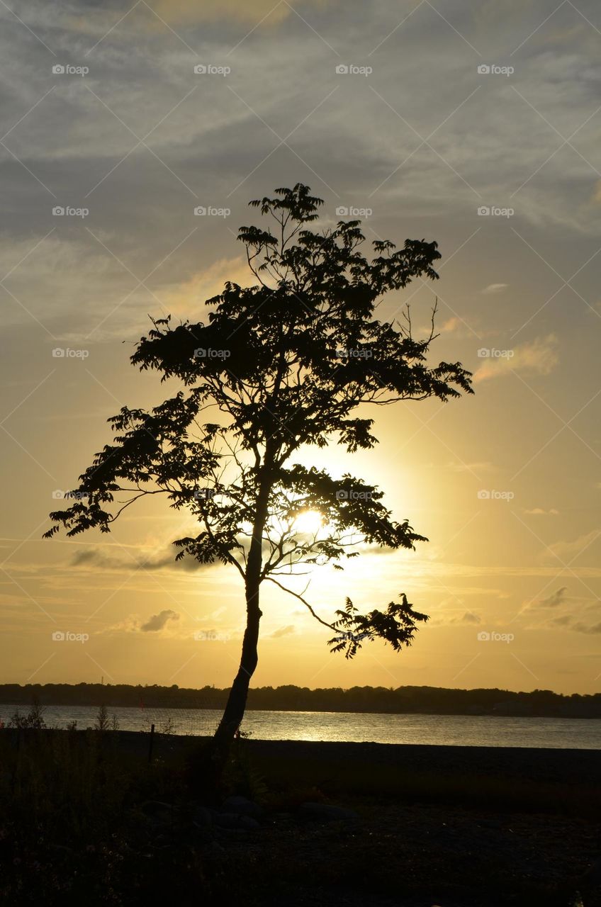 During the tide hours a natural bridge appears to get to a scenic island off the coast of Silver Sands state park in Connecticut. There travelers can enjoy magical sunset views and panoramic nature views of the park. 