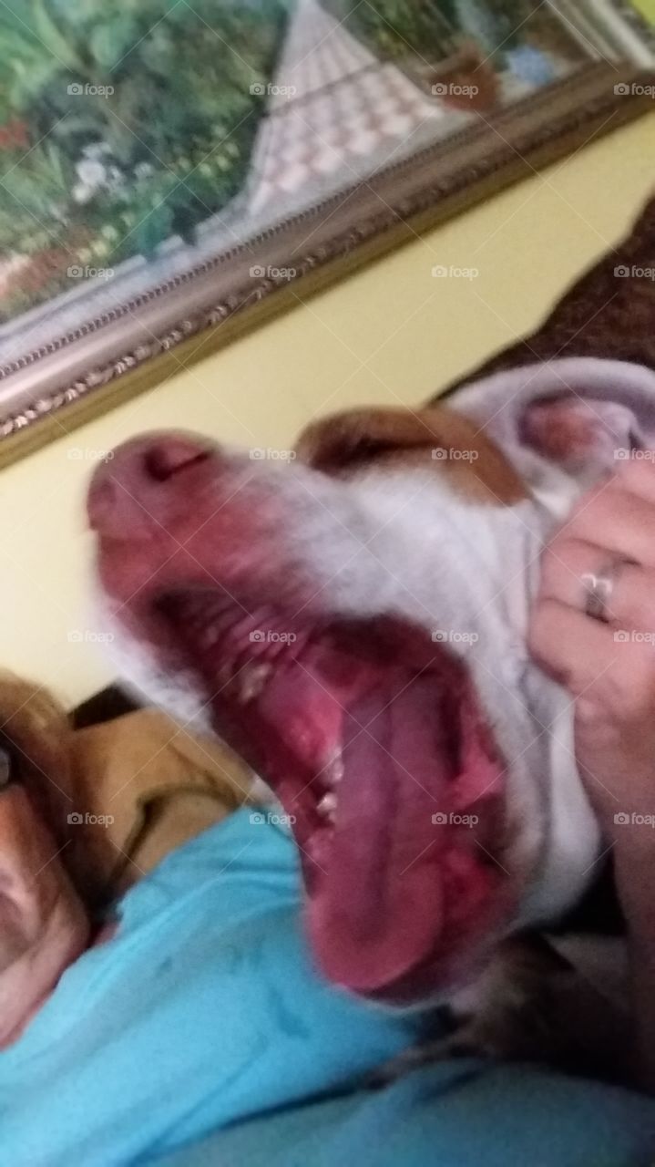 mindy a great big yawn!