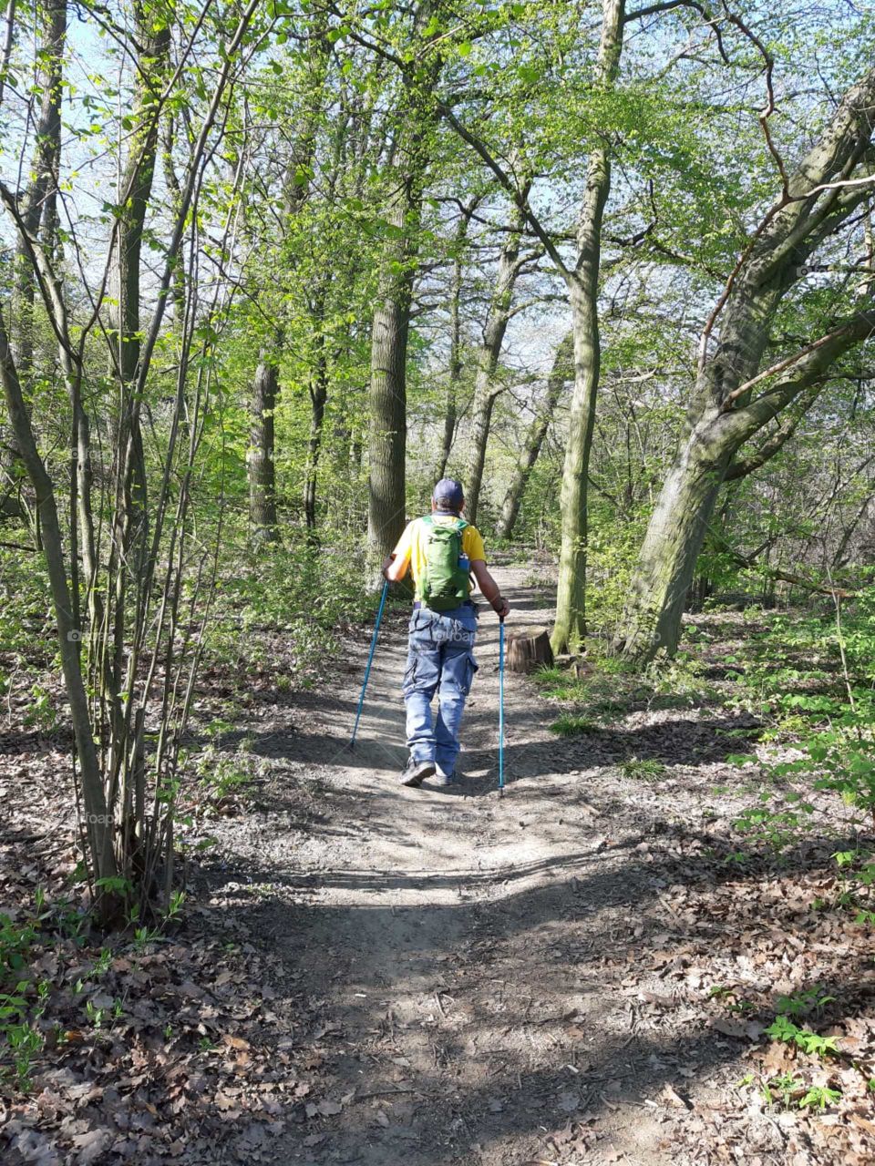 Passeggiata tra i boschi