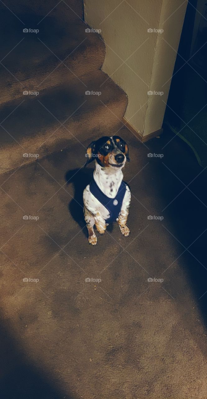 I said I want it so give it to me!