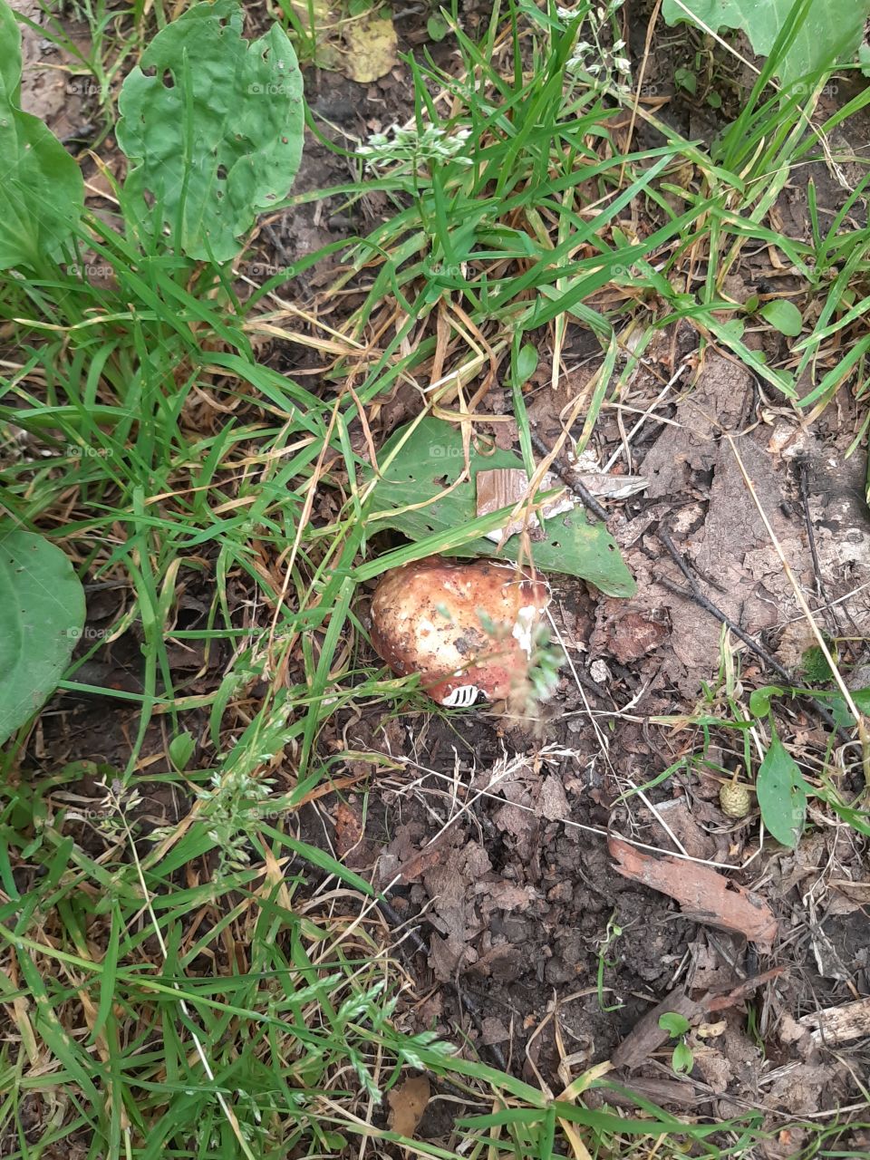 А  вроде   не   заметно!