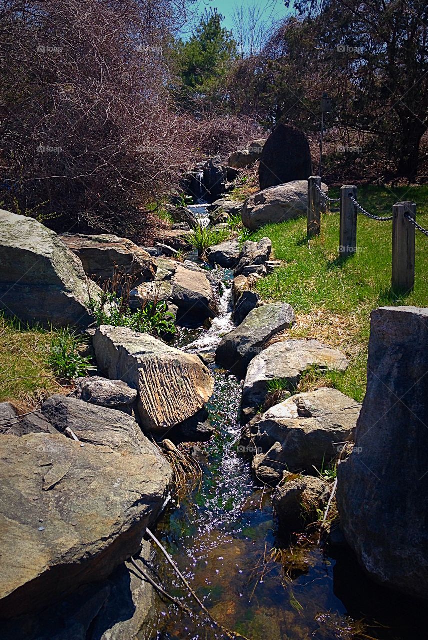 Spring has sprung. Sunshine sparkling on the water 