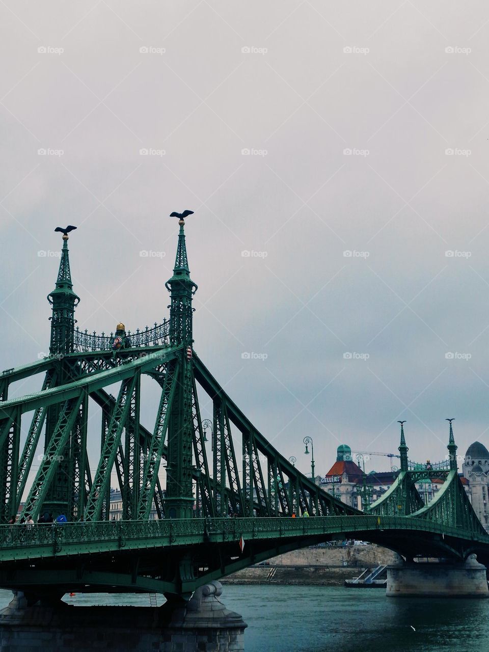 the freedom bridge from Budapest