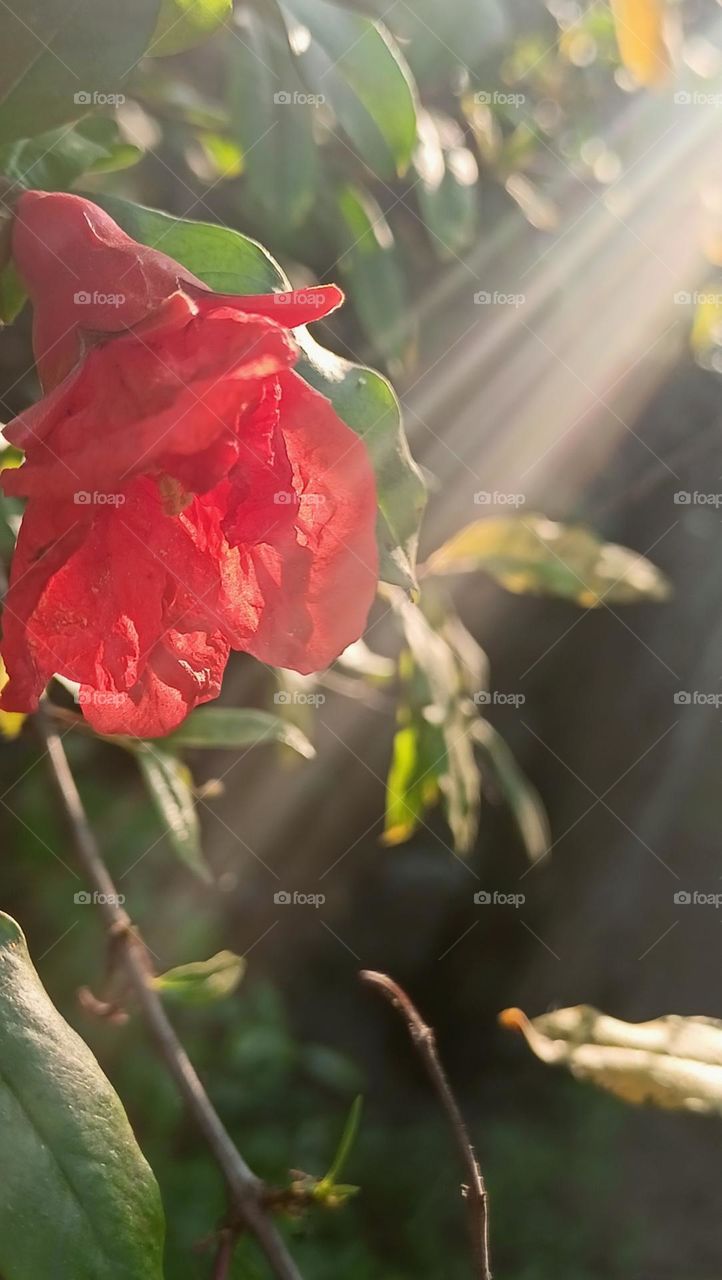 Nature is the best healing thing. IG:@life_blues_into_creation.