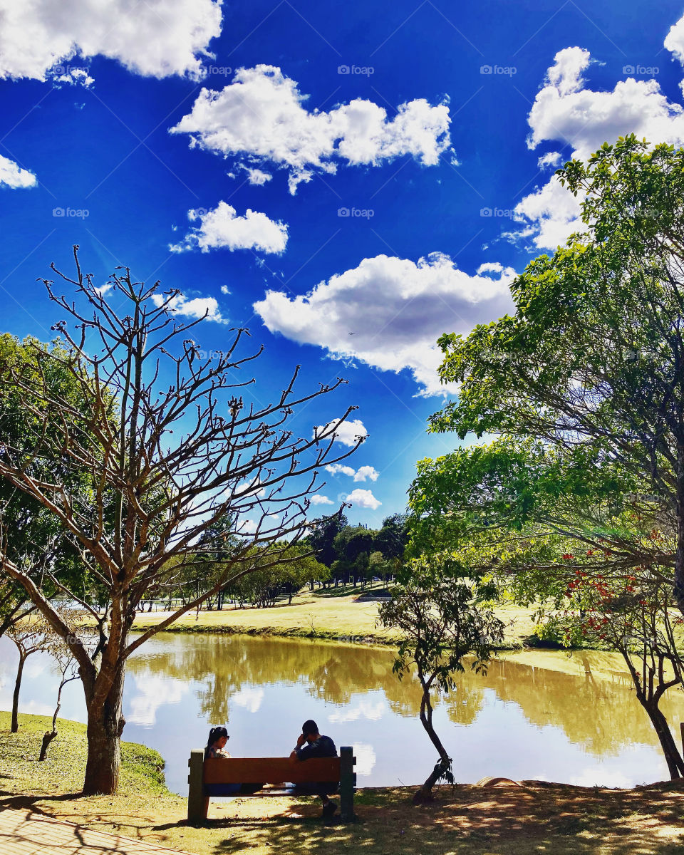 🇺🇸 A bucolic and beautiful afternoon in the city of Bragança Paulista, in the interior of Brazil. Experience nature (here: Lago do Taboão). / 🇧🇷 Uma tarde bucólica e bonita em Bragança Paulista, interior do Brasil. Viva a natureza (Lago do Taboão).