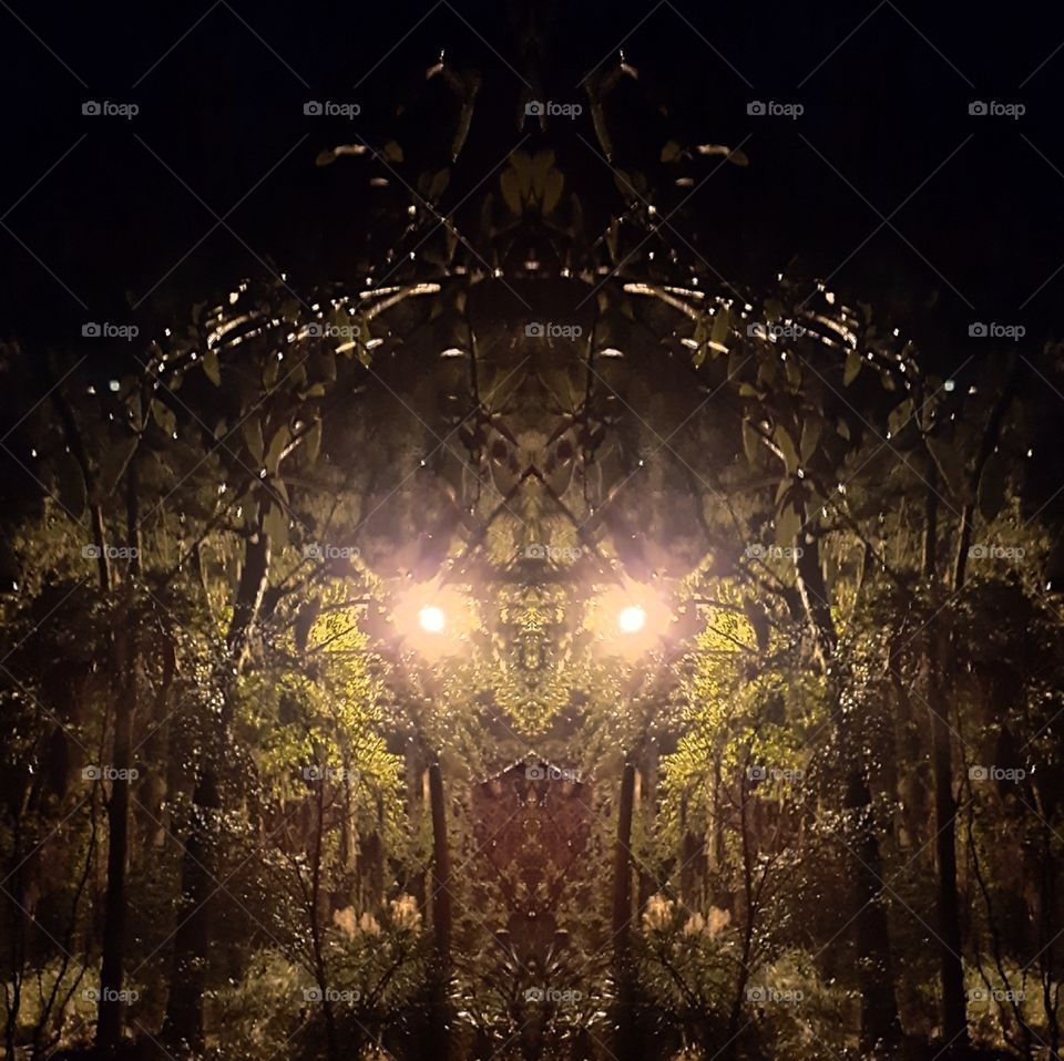 don't go into the light😱