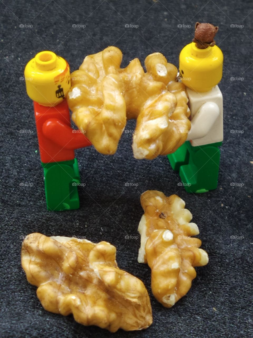 Two toy people are holding half a walnut that looks like a human brain.  Walnut halves nearby