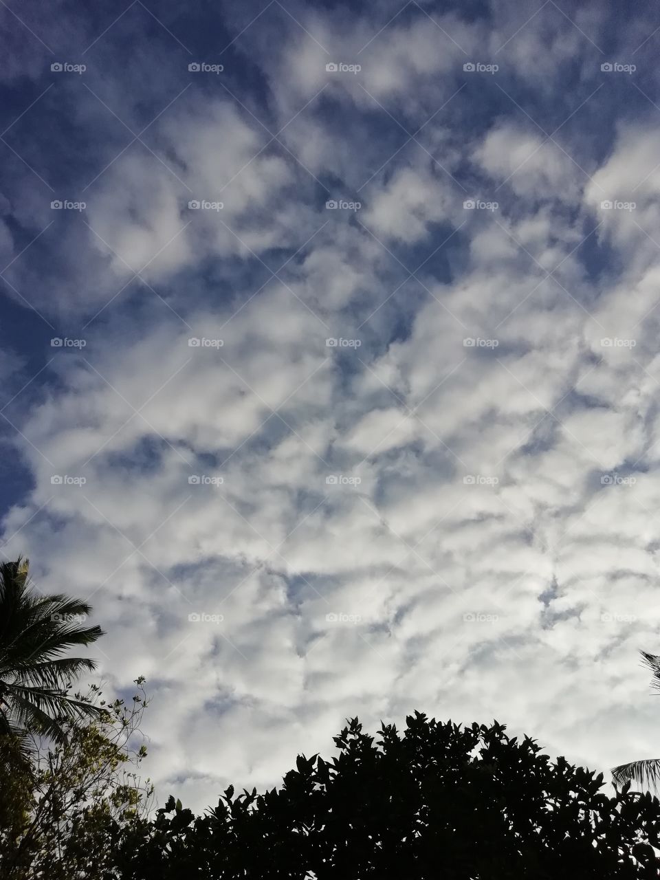 Clouds
