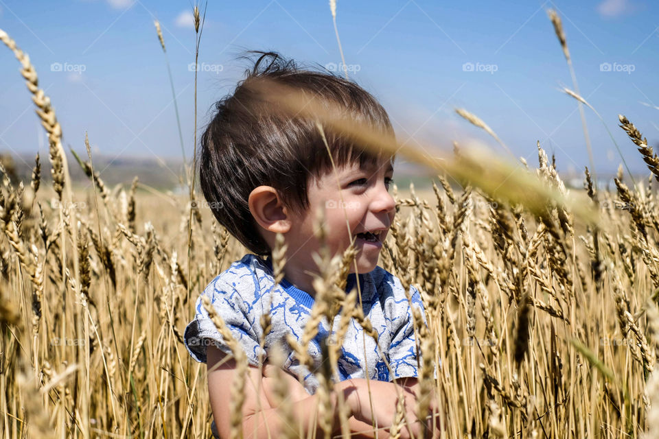 Little boy in a field