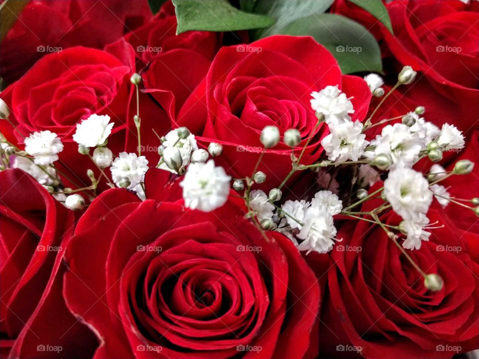 Red Roses and Baby's Breath Bouquet
