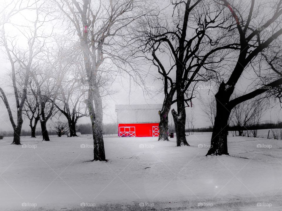 Red barn in winter. 