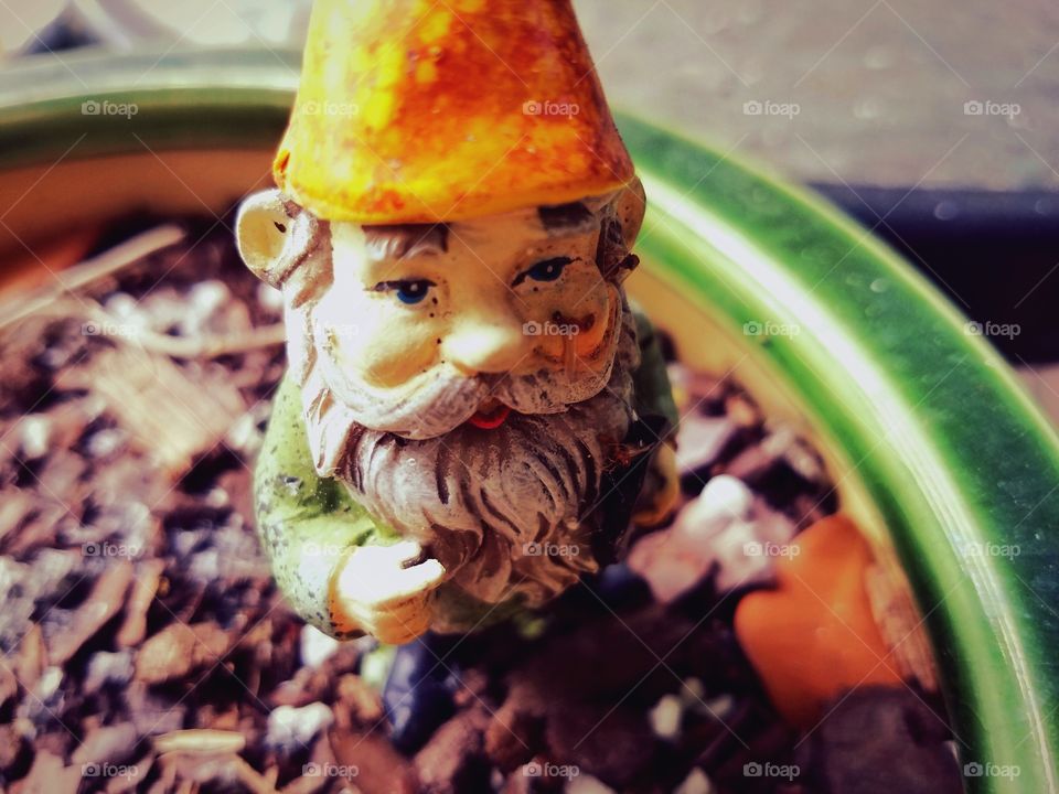 Garden Gnome