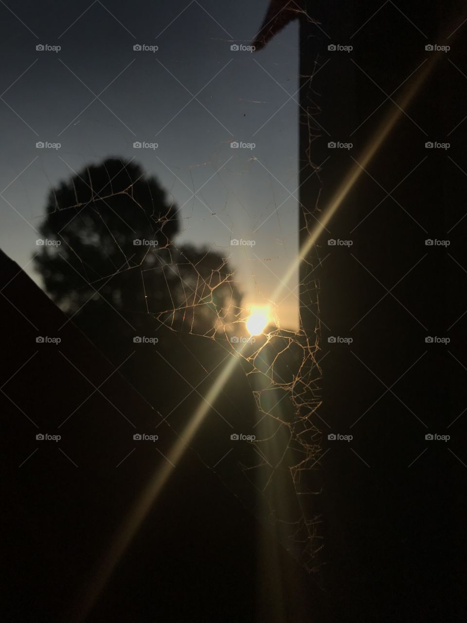 where the sun hangs from