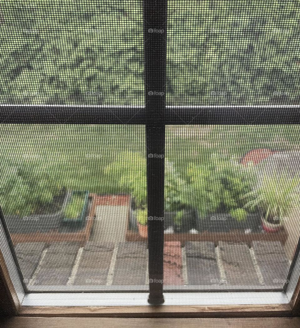 Looking outside the window from inside the house, looking at the plants on the patio, inside the house, my house is my favorite place to be 