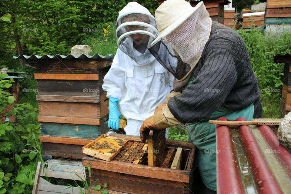 Two beekeeper