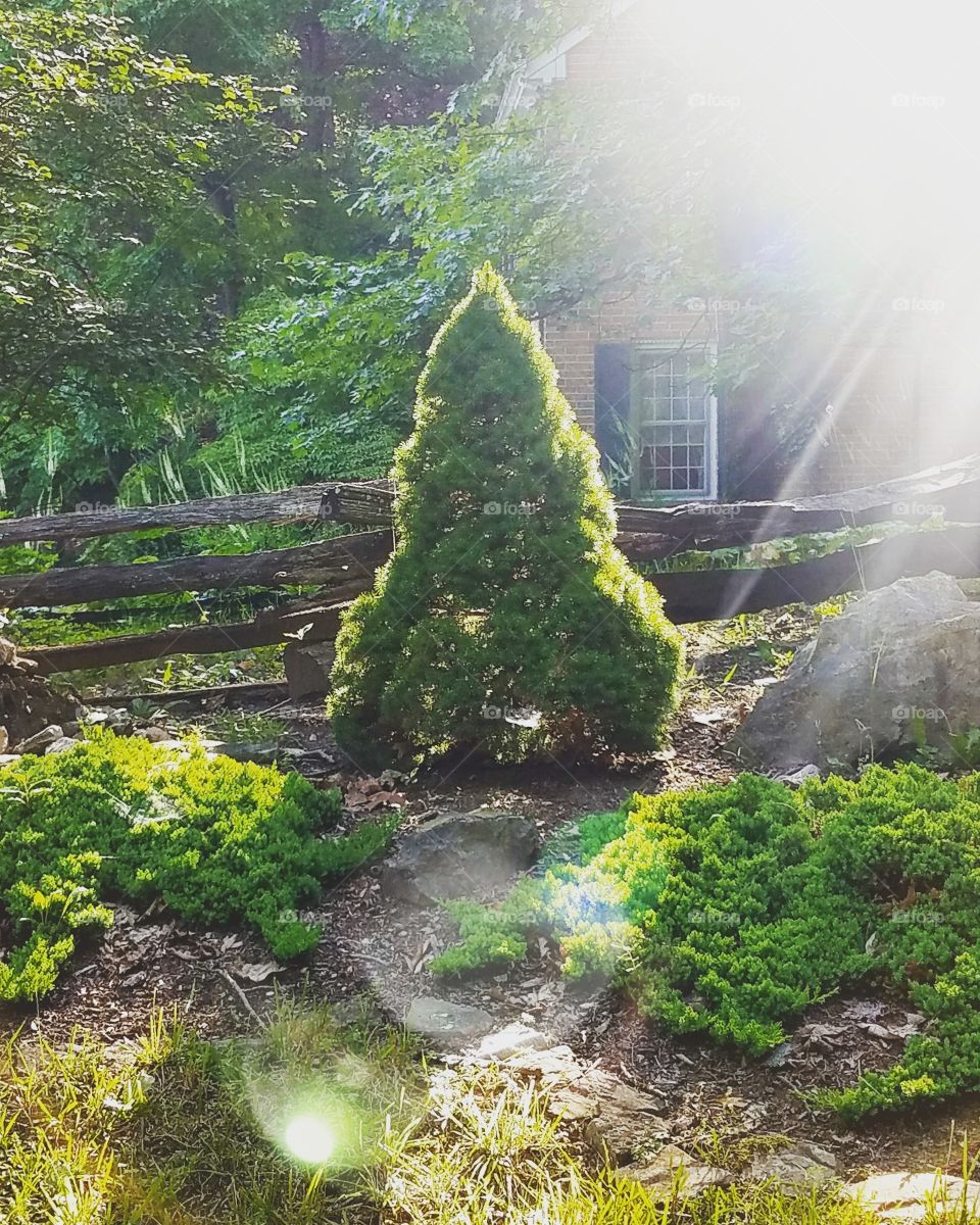 early spring morning