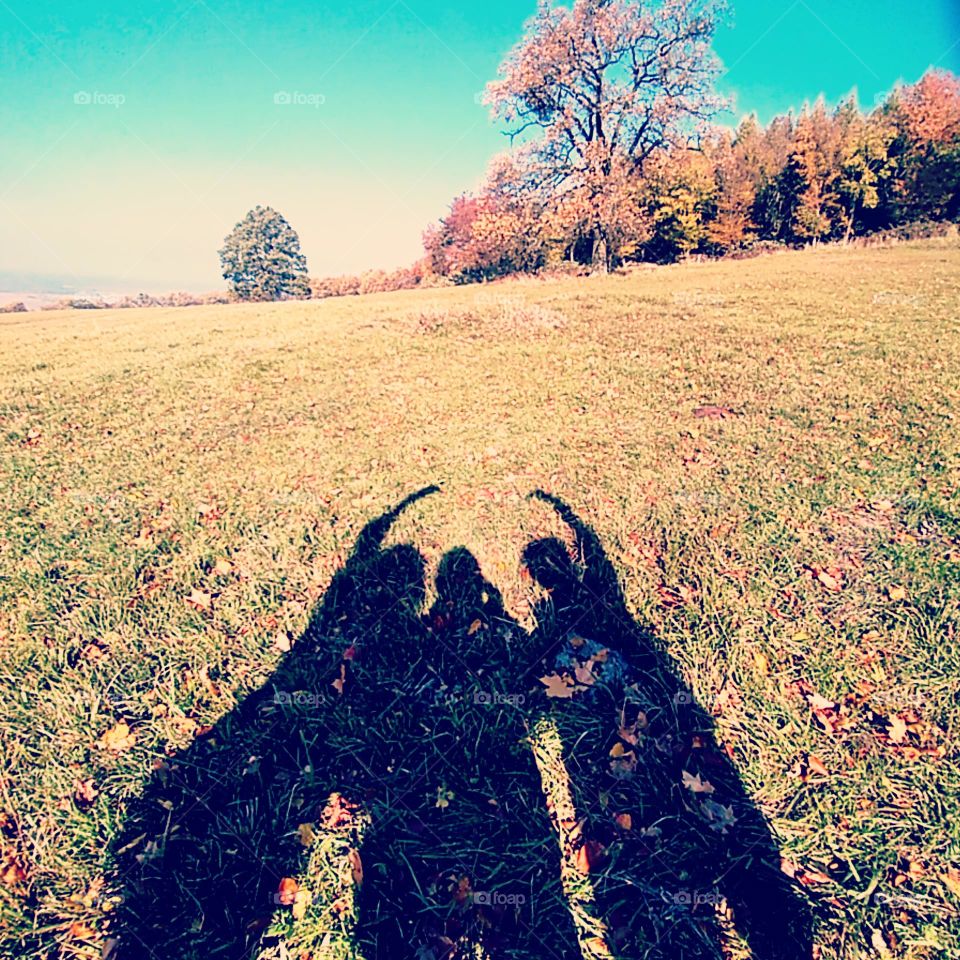 My favorite season comes!