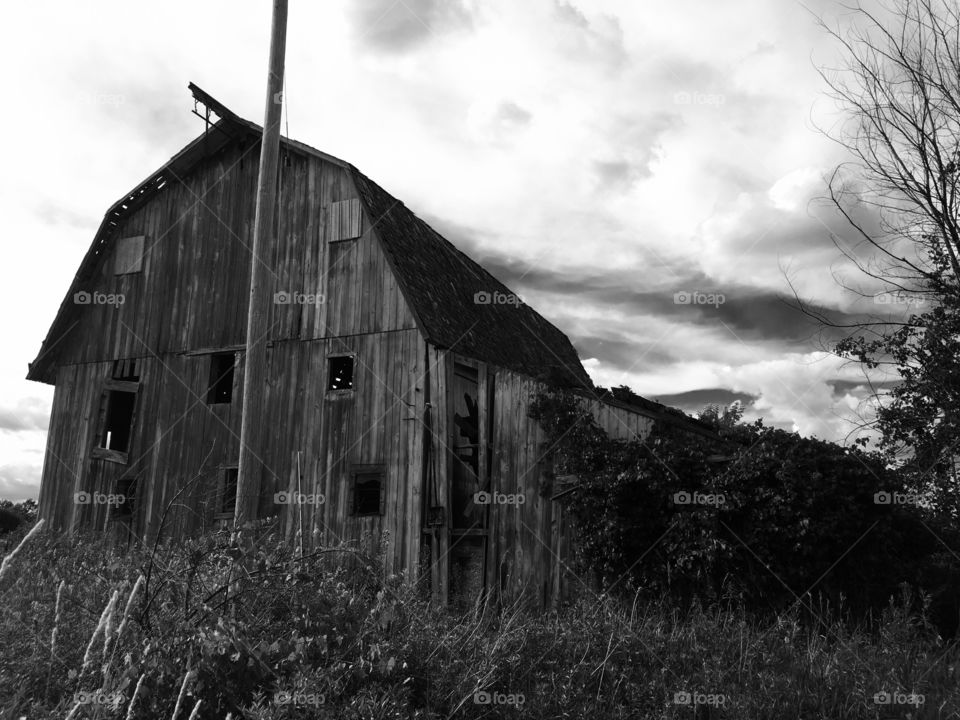 Creepy B&W barn