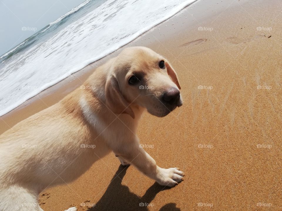 First beach day is the best beach day ❤️