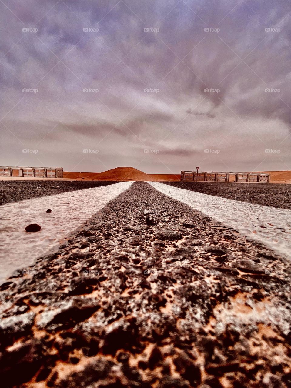 Desert vibe’s 🐪