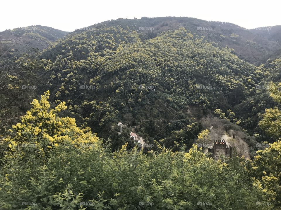 Parque biológico da Lousã 