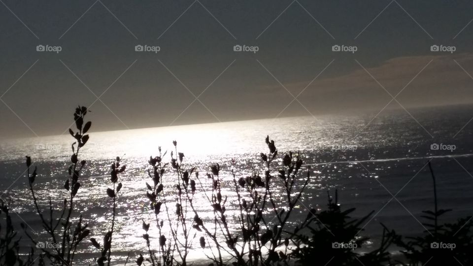 Moonlight on the water