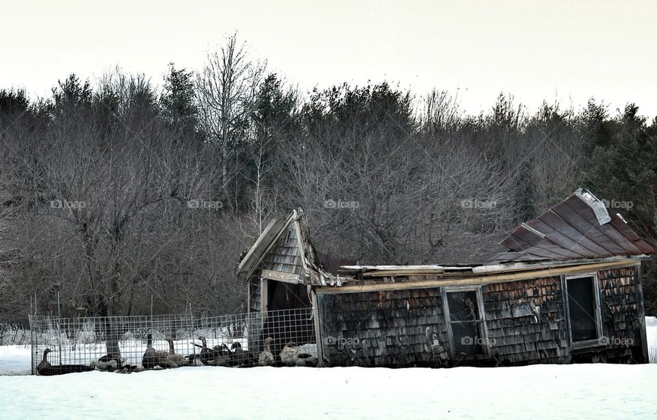 Broken barn