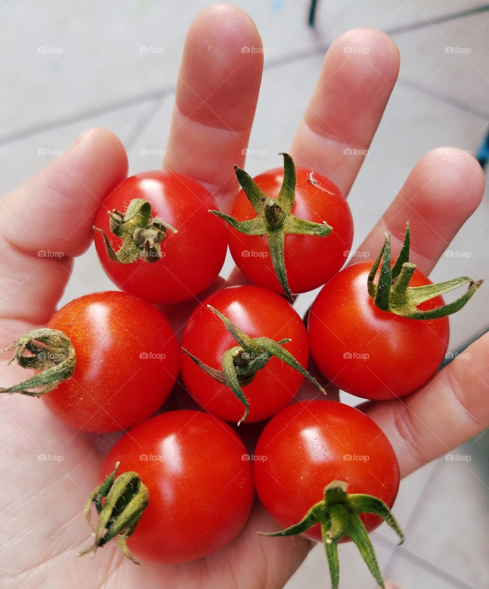 cherry tomatoes