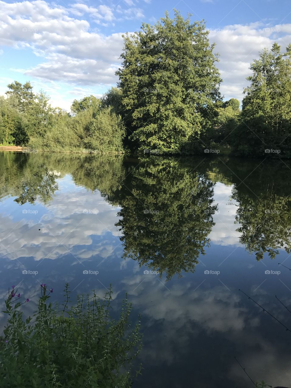 Reflection on the lake