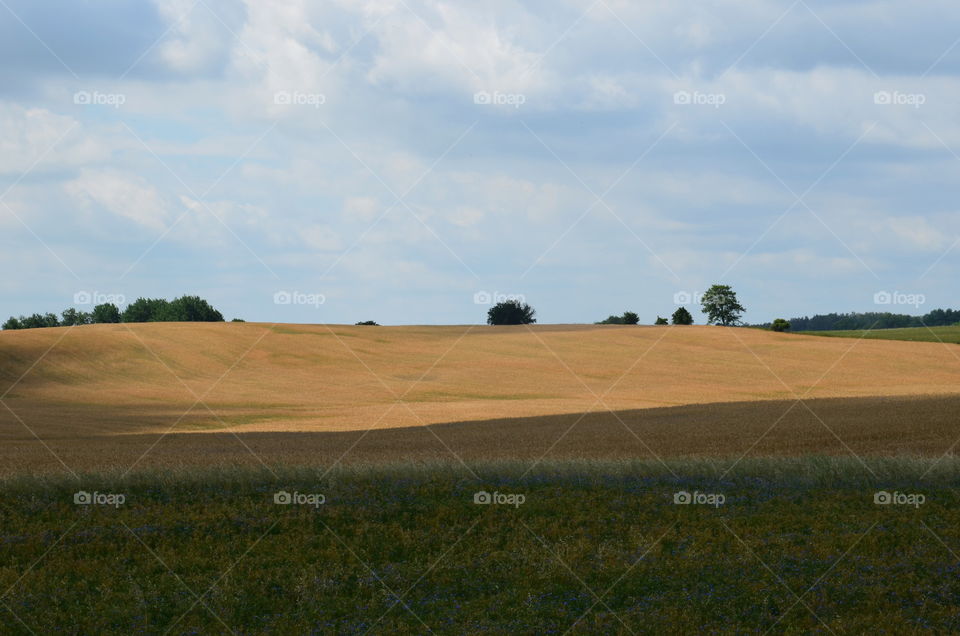 Fields of the Mazurian region in Poland