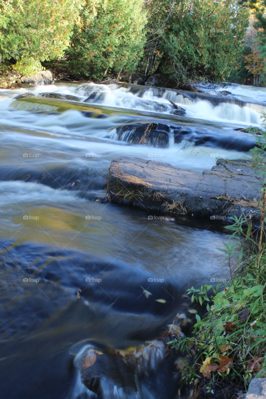 Bond falls