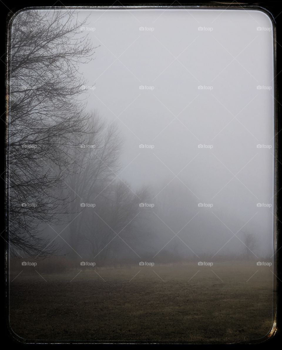 Abstract Landscape Fog Still