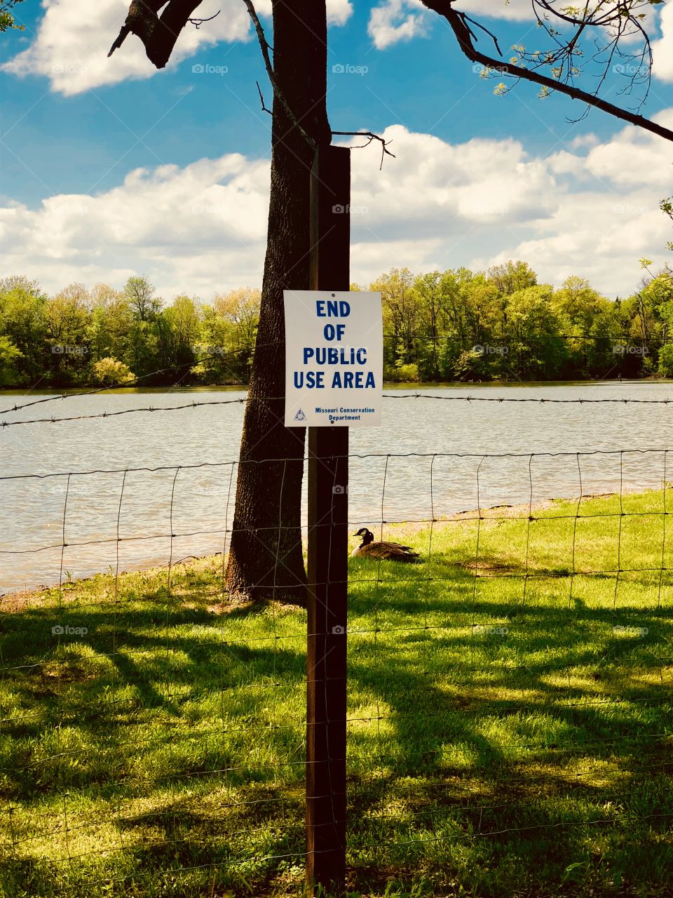 Windy day on the lake