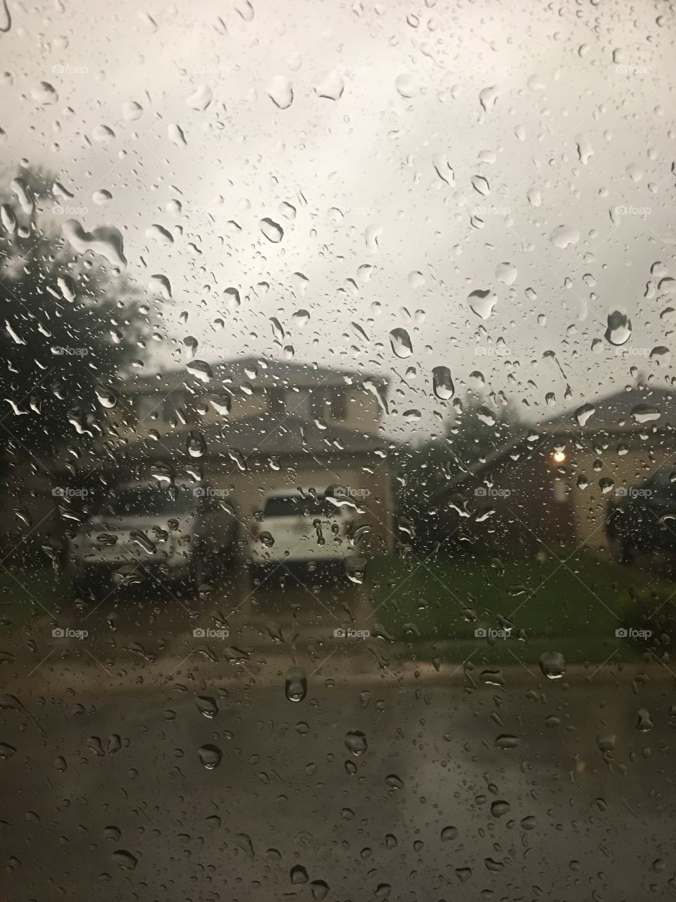 Rainy days are the best days 