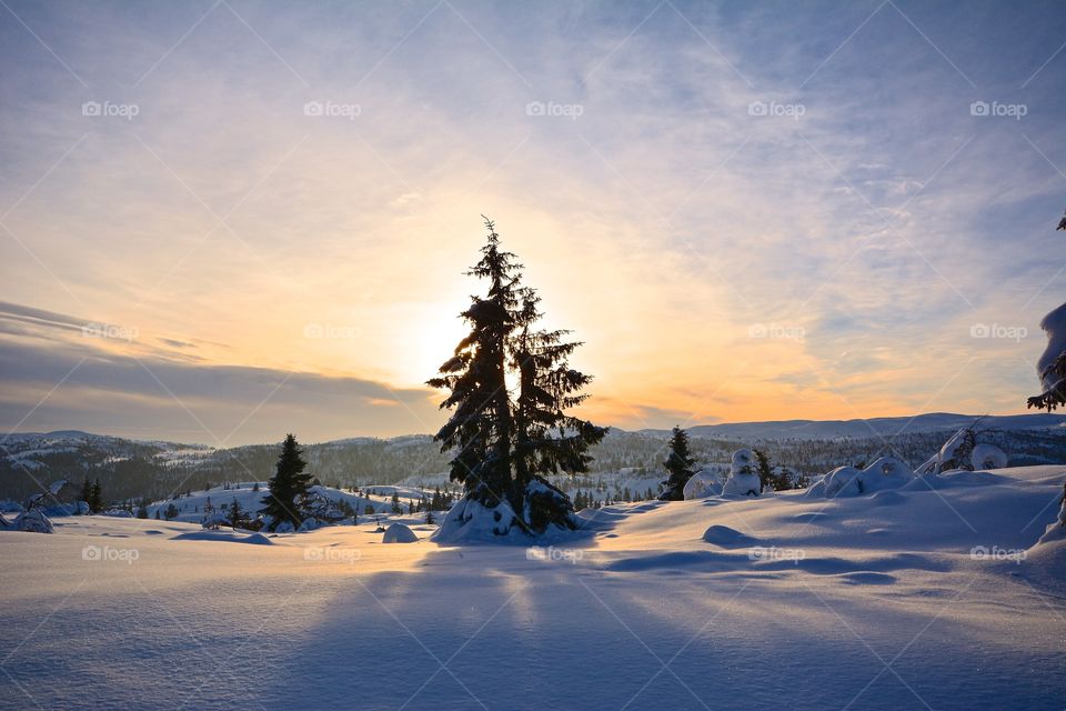 Scenic view of winter morning