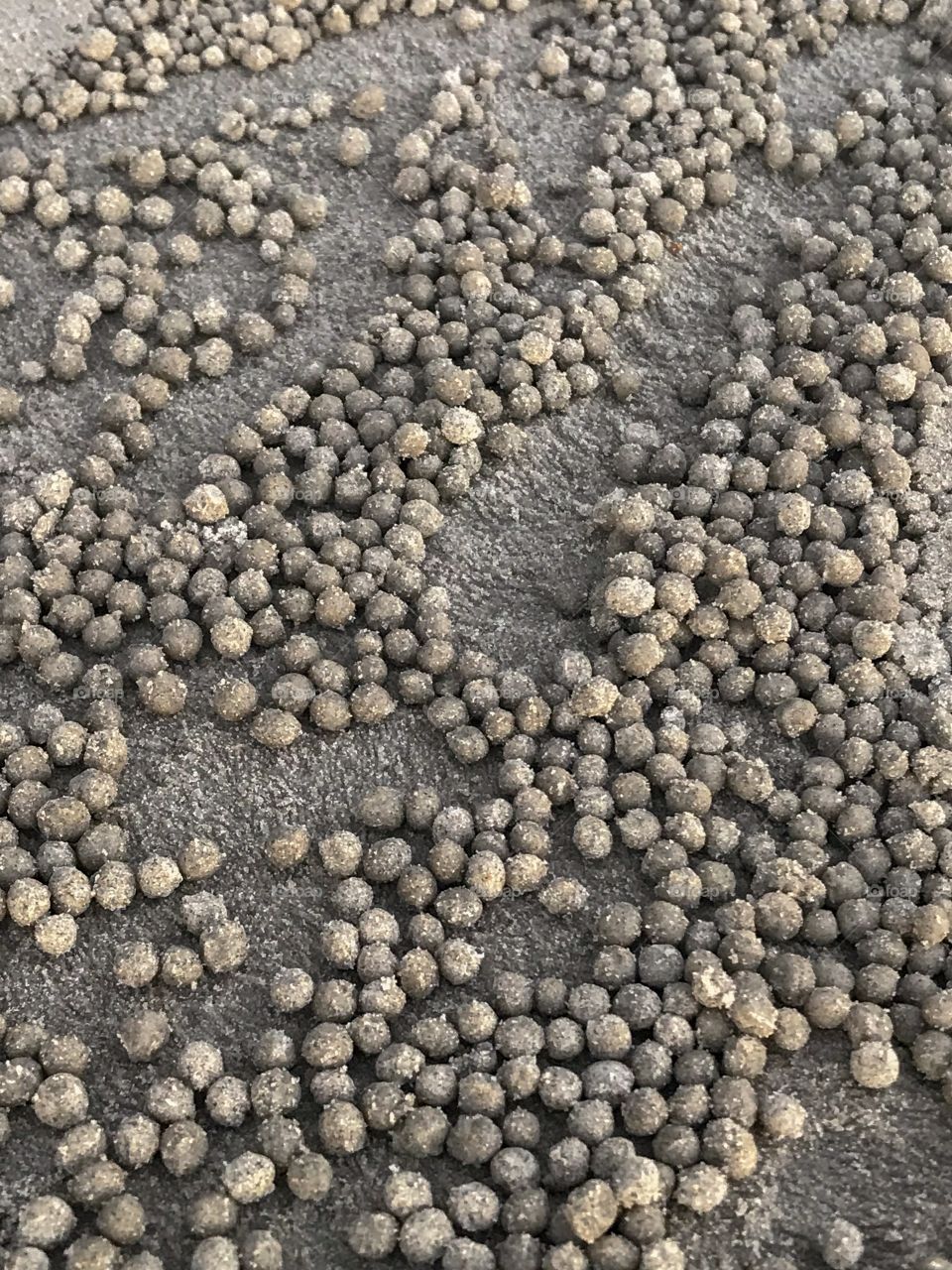 Little pebbles of sand excavated by tiny crabs on a quiet beach 