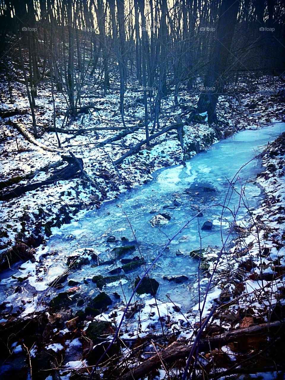 Winter mountain run ❄️. Taken in the PA sticks 