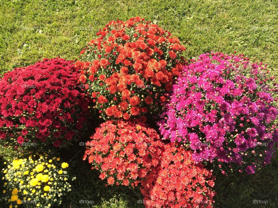 High angle view of multi colored