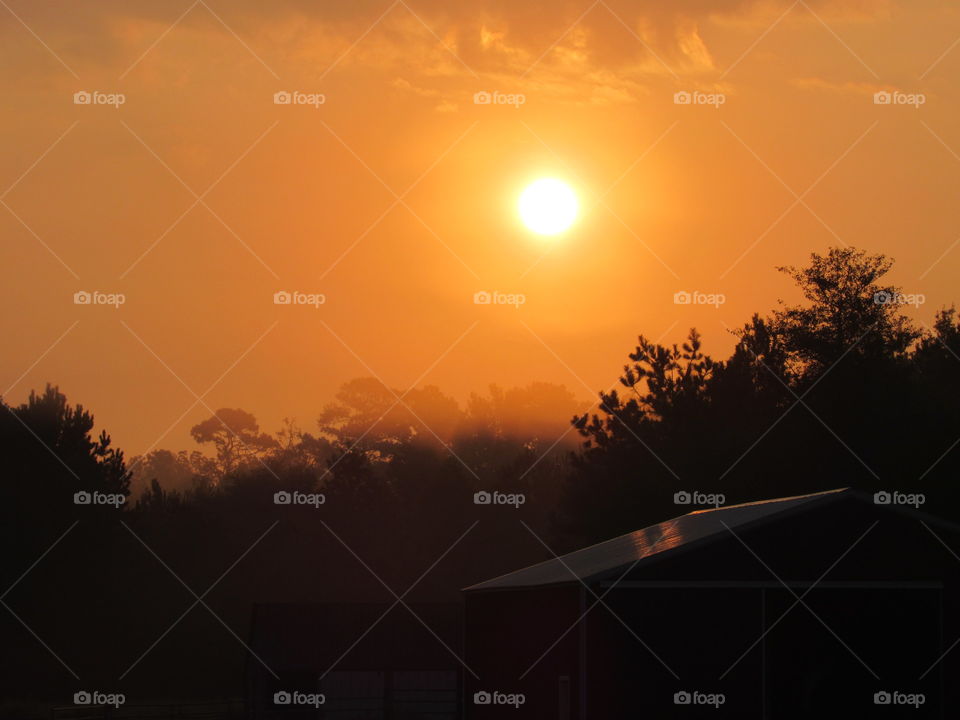 Hazy sunrise with tree silhouettes over the barn