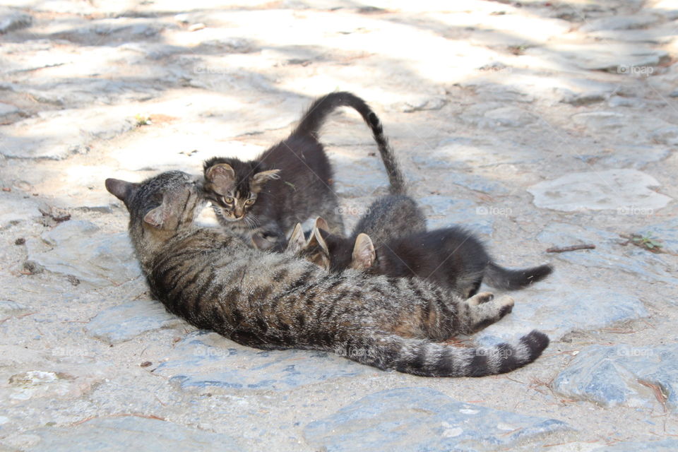 That's real mother love!