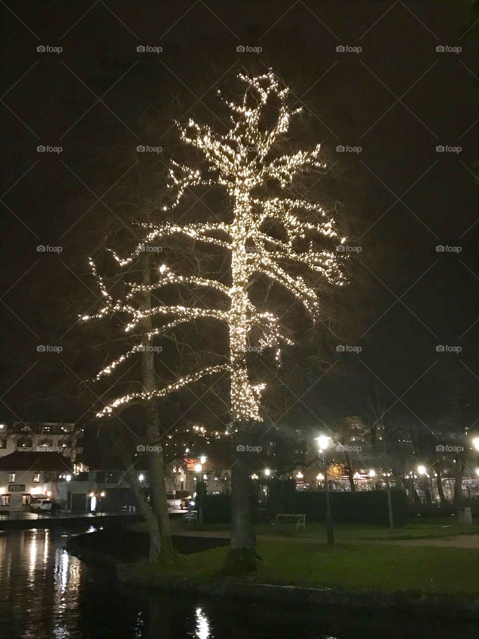 Borås sweden, christmas tree, 
