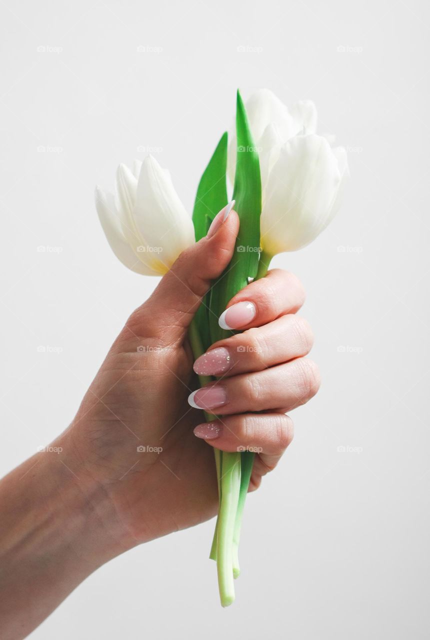 The hand of a young woman with a beautiful delicate manicure holding three white tulips against a white wall,side view. Concept beautiful woman's manicure, nail care, women's holidays.