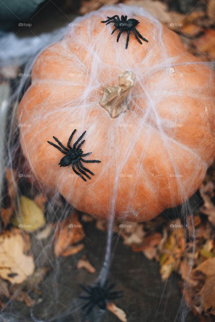 forest, night, holiday, decorations, snacks, fall, orange, black, mystery, Halloween, dark, glowing, candy, flashlight, ginger, fun, cute, fog, gloomy, burning, candle, flame, Jack, face, smile, autumn, symbol, skeleton, dark, above, scary, good, funny, background, lonely, sadness, darkness, magic, event, bat, Ghost, concept, trick, emblem, Phantom, pumpkin face, pumpkin, October, September, werewolf, mage, terrible, grim, supernatural, treat, trick or treat, horrible, wizard, Jack-lantern