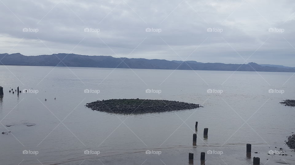 Low ride with sea lions in the distance.