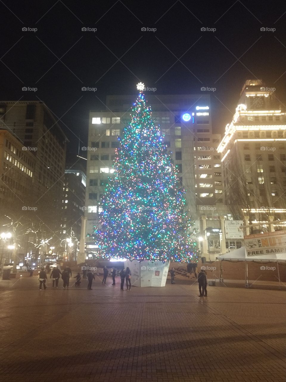 Portland Oregon downtown Christmas Tree in Pioneer Square Park