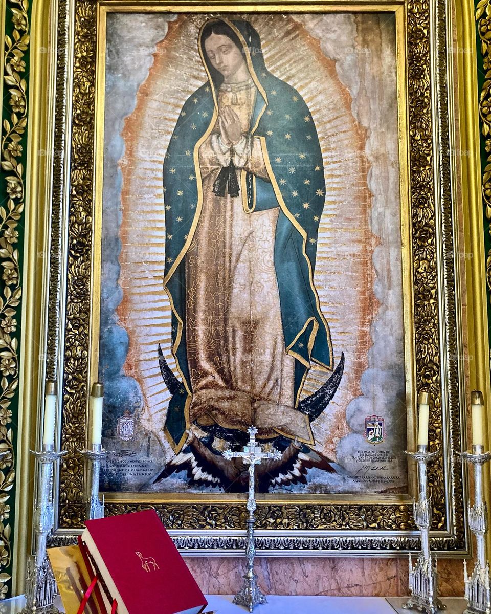 🙏 🇪🇸 Oh Maria, ruega por nosotros que recurrimos a ti.  Amén.  🇧🇷 Ó Maria, Nossa Senhora, rogai por nós que recorremos a vós. Amém. / 🇺🇸 O Mary, pray for us that we turn to you.  Amen. / 🇮🇹 O Madonna, prega per noi che ci rivolgiamo a te. Amen. 
