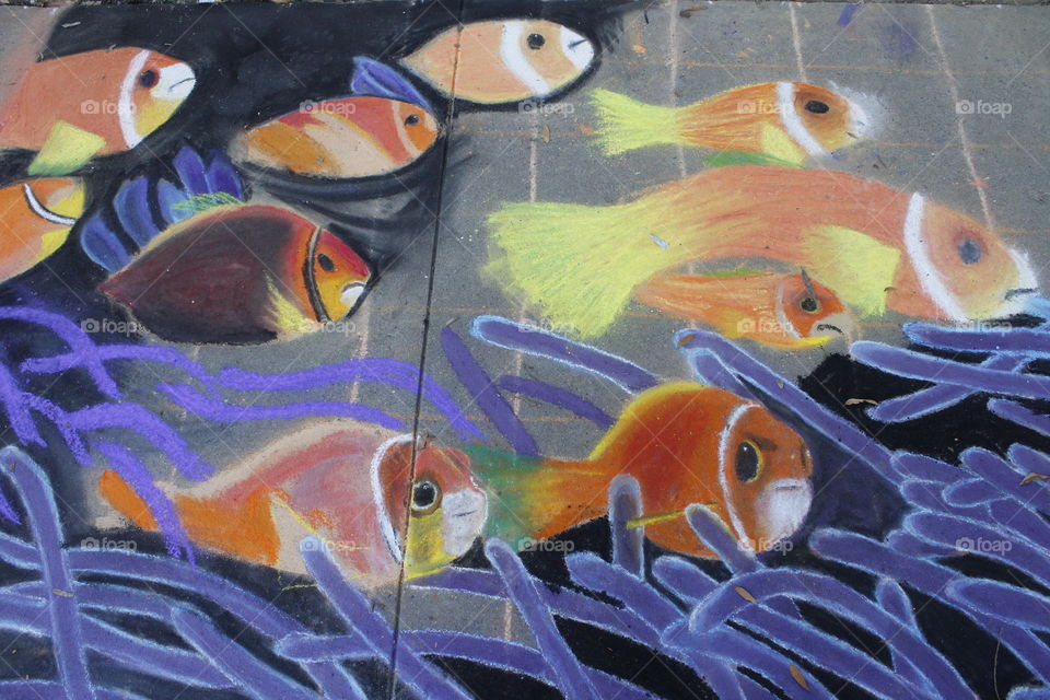 fish chalk art