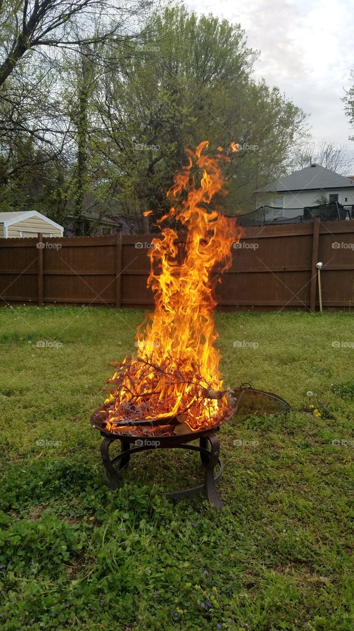 Backyard Firepit Tall Bonfire
